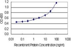 Detection limit for recombinant GST tagged DAAM2 is 0. (DAAM2 antibody  (AA 1-132))