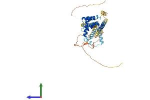 Protein Structure (PS) image for Pre-B-Cell Leukemia Homeobox Protein 1 (PBX1) (AA 1-430) protein (His tag) (ABIN7554914)
