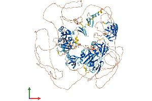 Protein Structure (PS) image for Membrane Associated Guanylate Kinase, WW and PDZ Domain Containing 3 (MAGI3) (AA 1-1476) protein (His tag) (ABIN7565036)
