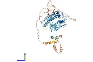 Protein Structure (PS) image for Zinc Finger Protein 227 (ZNF227) (AA 1-799) protein (His tag) (ABIN7545312)