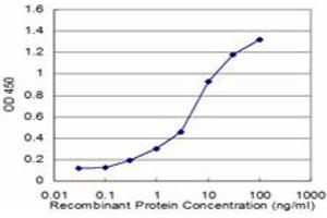Detection limit for recombinant GST tagged SFPQ is approximately 0. (SFPQ antibody  (AA 269-361))