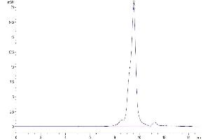 Size-exclusion chromatography-High Pressure Liquid Chromatography (SEC-HPLC) image for Interleukin 17 Receptor B (IL17RB) (AA 18-292) protein (His tag) (ABIN7274891)