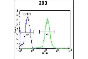 Flow cytometric analysis of 293 cells (right histogram) compared to a negative control cell (left histogram). (DACT1 antibody  (N-Term))