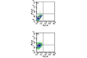 Image no. 3 for anti-Histocompatibility 2, T Region Locus 23 (H2-T23) antibody (ABIN959931) (H2-T23 antibody)