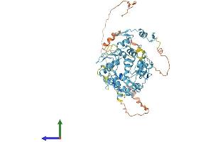 AlphaFold protein structure predicition of Human Recombinant ZNF317 Protein, UniprotID Q96PQ6