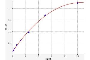 Typical standard curve (AMELX ELISA Kit)