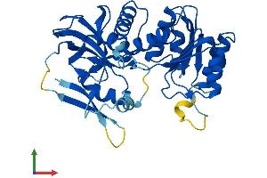 AlphaFold protein structure predicition of Mouse Recombinant Cryzl1 Protein, UniprotID Q921W4 (CRYZL1 Protein (AA 1-348) (His tag))