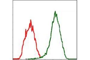 Flow cytometric analysis of Jurkat cells using MSN mouse mAb (green) and negative control (red). (Moesin antibody)