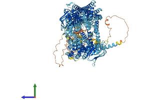 AlphaFold protein structure predicition of Human Recombinant ABCC2 Protein, UniprotID Q92887
