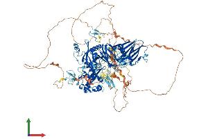 AlphaFold protein structure predicition of Human Recombinant CAPN15 Protein, UniprotID O75808