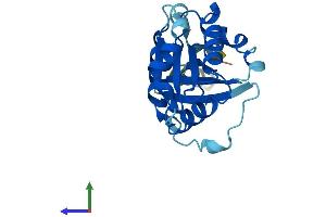 AlphaFold protein structure predicition of Mouse Recombinant Arfrp1 Protein, UniprotID Q8BXL7 (ARFRP1 Protein (AA 1-201) (His tag))