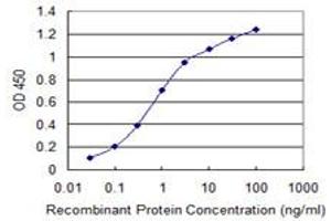 Detection limit for recombinant GST tagged WNK4 is 0. (WNK4 antibody  (AA 1144-1243))