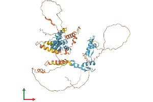 AlphaFold protein structure predicition of Human Recombinant ZBTB7A Protein, UniprotID O95365 (ZBTB7A Protein (AA 1-584) (His tag))