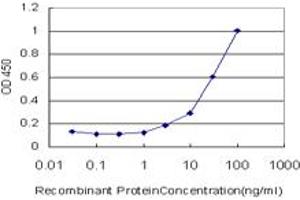 Detection limit for recombinant GST tagged NBN is approximately 3ng/ml as a capture antibody. (Nibrin antibody  (AA 645-754))