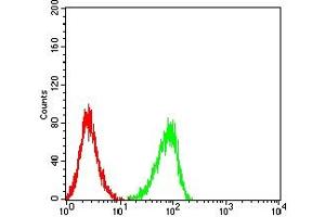 Flow cytometric analysis of HL-60 cells using CD72 mouse mAb (green) and negative control (red). (CD72 antibody  (AA 117-359))