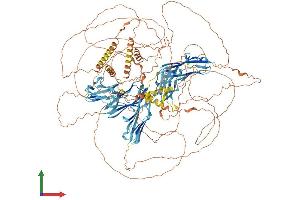 Protein Structure (PS) image for Myopalladin (MYPN) (AA 1-1315) protein (His tag) (ABIN7563802)
