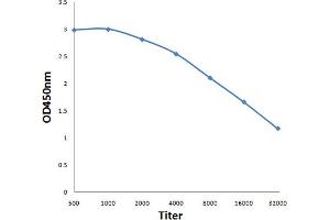 Antigen: 0. (EPH Receptor A10 antibody  (AA 151-250))