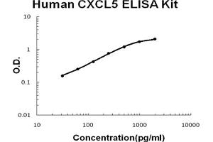 Human CXCL5/ENA-78 Accusignal ELISA Kit Human CXCL5/ENA-78 AccuSignal ELISA Kit standard curve. (CXCL5 ELISA Kit)