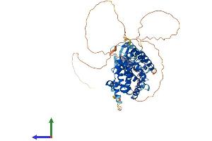 AlphaFold protein structure predicition of Mouse Recombinant Shq1 Protein, UniprotID Q7TMX5