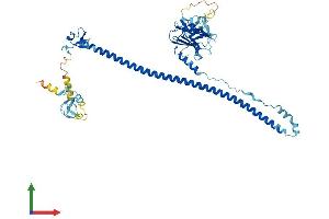 AlphaFold protein structure predicition of Mouse Recombinant Trim34a Protein, UniprotID Q99PP6 (TRIM34A Protein (AA 1-485) (His tag))