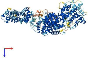 MED24 Protein (AA 1-989) (His tag)