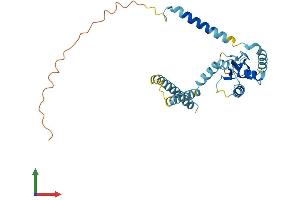 AlphaFold protein structure predicition of Mouse Recombinant Rnf170 Protein, UniprotID Q8CBG9