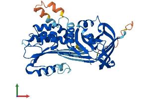 Protein Structure (PS) image for serpin Peptidase Inhibitor, Clade B (Ovalbumin), Member 13 (SERPINB13) (AA 1-391) protein (His tag) (ABIN7546302)