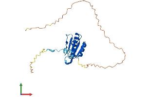 AlphaFold protein structure predicition of Human Recombinant MALSU1 Protein, UniprotID Q96EH3