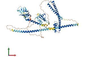 Protein Structure (PS) image for Ecto-NOX Disulfide-Thiol Exchanger 1 (ENOX1) (AA 1-643) protein (His tag) (ABIN7553842)