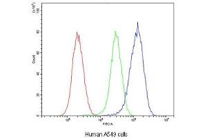Flow cytometry testing of human A549 cells with Glutathione Reductase antibody at 1ug/10^6 cells (blocked with goat sera) (Glutathione Reductase antibody)