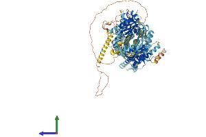 AlphaFold protein structure predicition of Mouse Recombinant Adcy8 Protein, UniprotID P97490 (ADCY8 Protein (AA 1-1249) (His tag))
