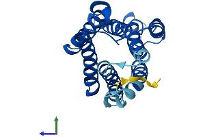 Protein Structure (PS) image for KDEL (Lys-Asp-Glu-Leu) Endoplasmic Reticulum Protein Retention Receptor 1 (KDELR1) (AA 1-212) protein (His tag) (ABIN7560312)