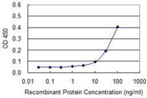 Detection limit for recombinant GST tagged UBTF is approximately 30ng/ml as a capture antibody. (UBTF antibody  (AA 551-650))