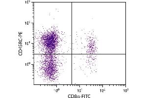 BALB/c mouse splenocytes were stained with Rat Anti-Mouse CD45RC-PE. (CD45RC antibody  (FITC))