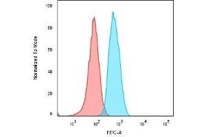 Flow Cytometric Analysis of Human Raji cells. (CD74 antibody)