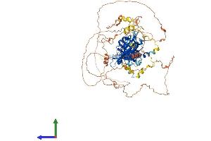 Protein Structure (PS) image for Hypoxia Inducible Factor 1, alpha Subunit (Basic Helix-Loop-Helix Transcription Factor) (HIF1A) (AA 1-836) protein (His tag) (ABIN7563911)
