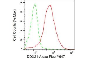 Flow cytometric analysis of DDX21 expression in HAP-1 cells using DDX21 antibody (ABIN7798285), 1:2,000). (Recombinant DDX21 antibody)