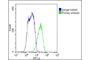 Overlay histogram showing HepG2 cells stained with (ABIN651897 and ABIN2840443)(green line). (SLC10A1 antibody  (AA 316-343))