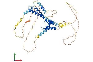 Protein Structure (PS) image for Meis Homeobox 3 (MEIS3) (AA 1-375) protein (His tag) (ABIN7549362)