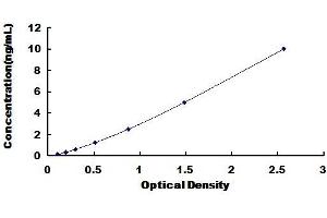 ELISA image for Transient Receptor Potential Cation Channel, Subfamily V, Member 1 (TRPV1) ELISA Kit (ABIN428807)