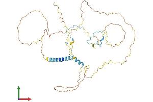 Protein Structure (PS) image for Hyaluronan Binding Protein 4 (HABP4) (AA 1-411) protein (His tag) (ABIN7561646)