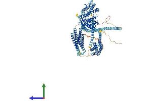 Protein Structure (PS) image for Huntingtin Interacting Protein 1 Related (HIP1R) (AA 1-1068) protein (His tag) (ABIN7554118)