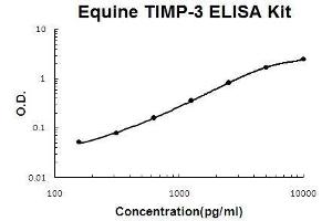 Horse equine TIMP-3 PicoKine ELISA Kit standard curve