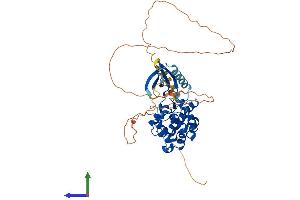 AlphaFold protein structure predicition of Human Recombinant CDKL2 Protein, UniprotID Q92772