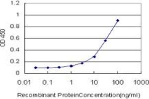 Detection limit for recombinant GST tagged HMBS is approximately 1ng/ml as a capture antibody. (HMBS antibody  (AA 1-361))