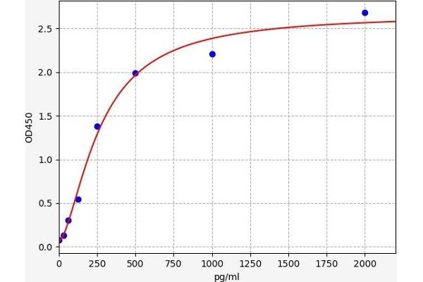 Dihydrofolate Reductase ELISA Kit