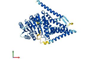 AlphaFold protein structure predicition of Human Recombinant HAS2 Protein, UniprotID Q92819