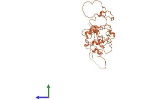 AlphaFold protein structure predicition of Human Recombinant KRTAP9-1 Protein, UniprotID A8MXZ3 (KRTAP9-1 Protein (AA 1-250) (His tag))