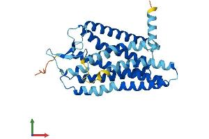 AlphaFold protein structure predicition of Human Recombinant OR1B1 Protein, UniprotID Q8NGR6 (OR1B1 Protein (AA 1-318) (His tag))