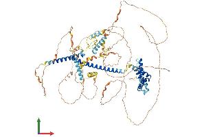 Protein Structure (PS) image for MLX Interacting Protein-Like (MLXIPL) (AA 1-852) protein (His tag) (ABIN7549419)